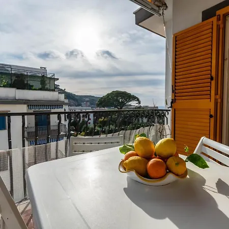 Virginia's * 索伦托